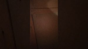 Паримся с печкой ТМФ Гейзер 2014/ Все плюсы и минусы