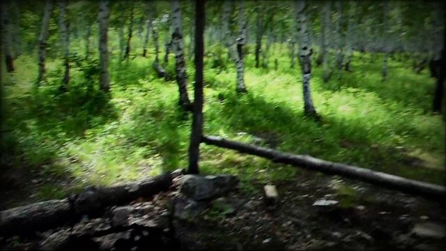 Быркинские писаницы. Начало маршрута. №1 смотреть онлайн