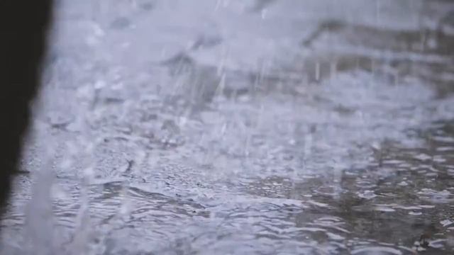 Путешествие зеленого рюкзака Wilo на выставку ISH 2017 смотреть онлайн