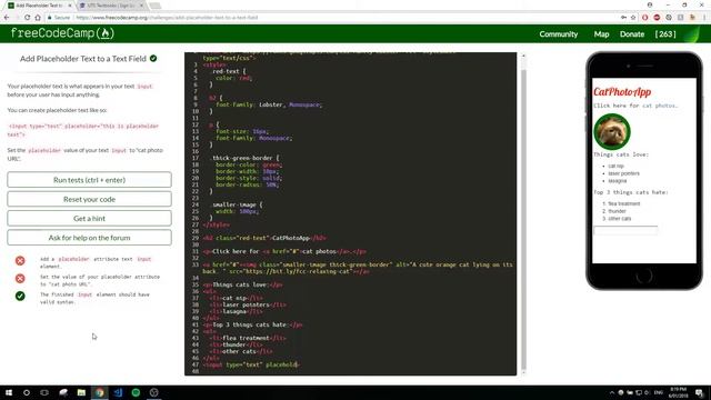 FreeCodeCamp Tutorial + Answers #28: Add Placeholder Text To A Text Field - HTML/CSS смотреть онлайн
