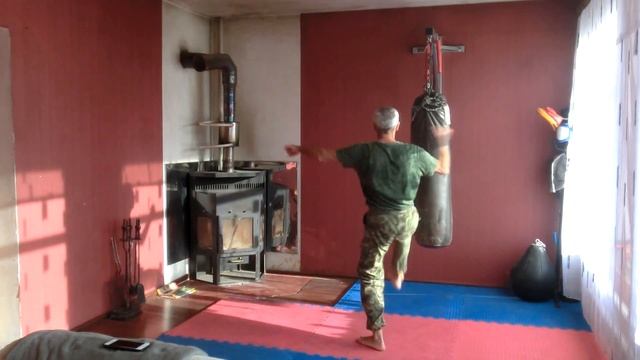 Стиль орла и змеи Universal combat system 21 смотреть онлайн