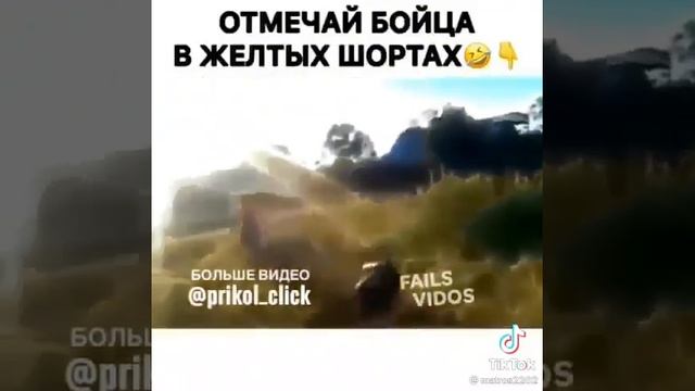 Отмечай бойца в жёлтых шортах? смотреть онлайн