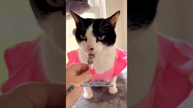 So sad смотреть онлайн