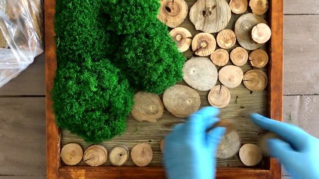 КАРТИНА ИЗ СТАБИЛИЗИРОВАННОГО МХА СВОИМИ РУКАМИ  КАРТИНА ИЗ ЖИВОГО МХА  PICTURE FROM LIVING MOS