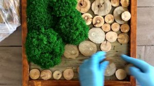 КАРТИНА ИЗ СТАБИЛИЗИРОВАННОГО МХА СВОИМИ РУКАМИ || КАРТИНА ИЗ ЖИВОГО МХА || PICTURE FROM LIVING MOS