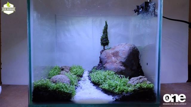 membuat aquascape pohon cemara смотреть онлайн