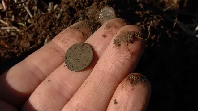 Test смотреть онлайн