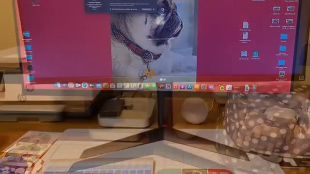 LG 34" UltraWide FHD HDR FreeSync Monitor with USB Type C. #LGMonitorInsiders смотреть онлайн