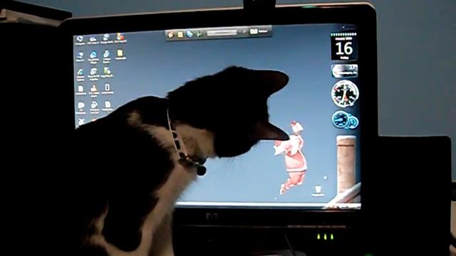 Cat and a Mouse pointer смотреть онлайн