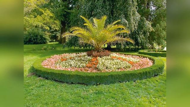 Живые бордюры смотреть онлайн