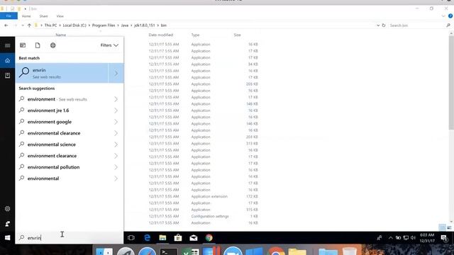 JDK - Configure Environment Variables on Windows 10 смотреть онлайн