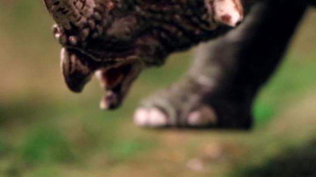 БИТВЫ ДИНОЗАВРОВ: ТРИЦЕРАТОПС VS. СТИРАКОЗАВР смотреть онлайн