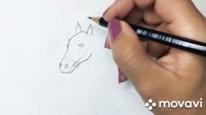 рисуем голову лошади , пошагово, легко