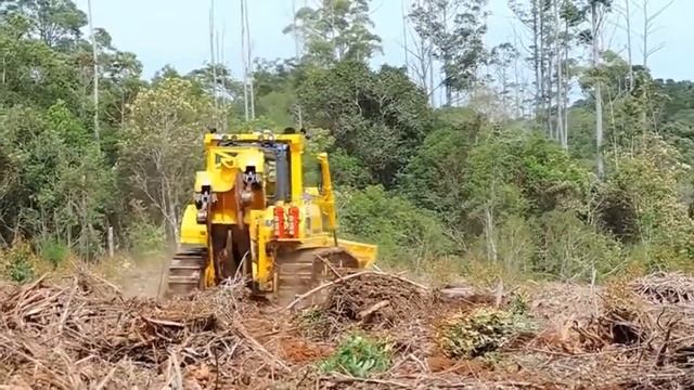 Работа бульдозера / Bulldozer works смотреть онлайн