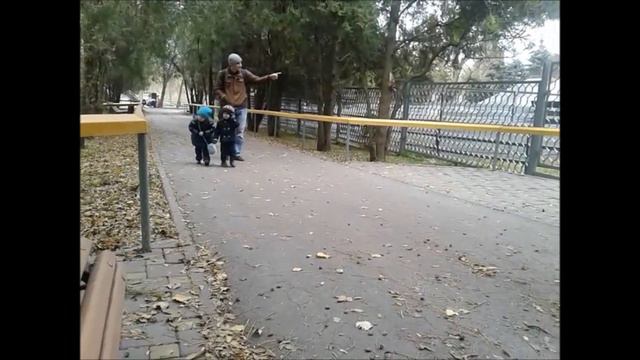 Зоопарк в Ростове на Дону 2017 смотреть онлайн