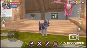 3 СПОСОБА ВЫБИТЬ МИСТИК в wild craft!!!!