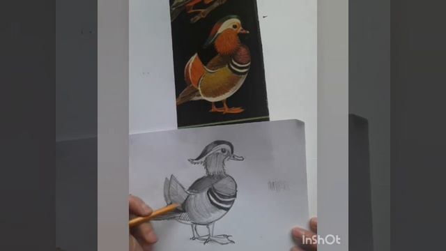 Рисунок карандашом. Как передать объем смотреть онлайн