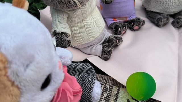 Басик с друзьями