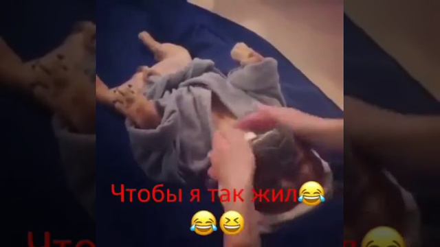 чтобы я так жил смотреть онлайн