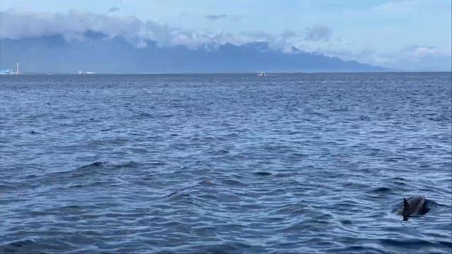 Сын и Отец БЕЗ ДЕНЕГ по БАЛИ 2023 смотреть онлайн