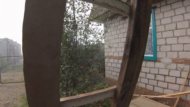 Наша дача #16 Закрыли красивый пейзаж, запустили монстра Слим вывихнул лапу смотреть онлайн