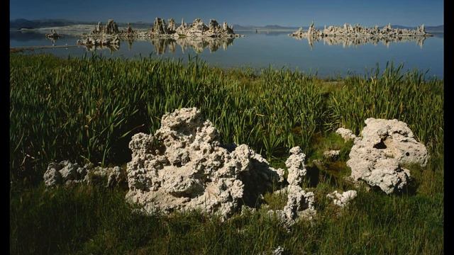 почему никто не голодает если это полезно смотреть онлайн