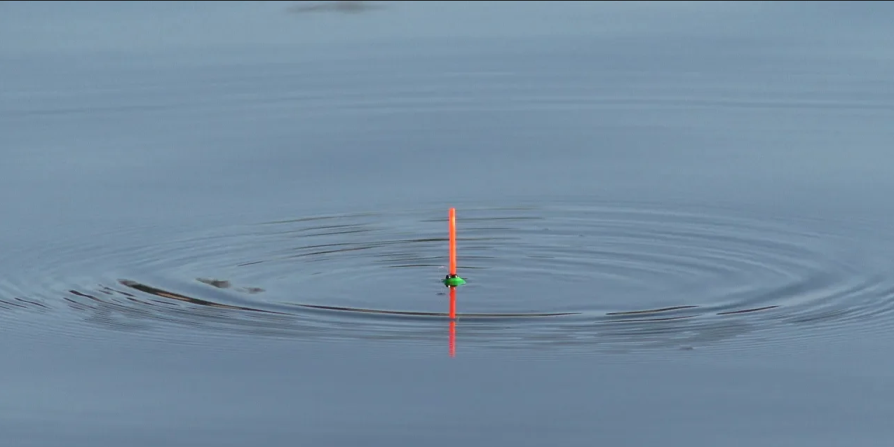 Рыбалка. Рыба под вечер Сдурела. Рыбалка весной на поплавок смотреть онлайн