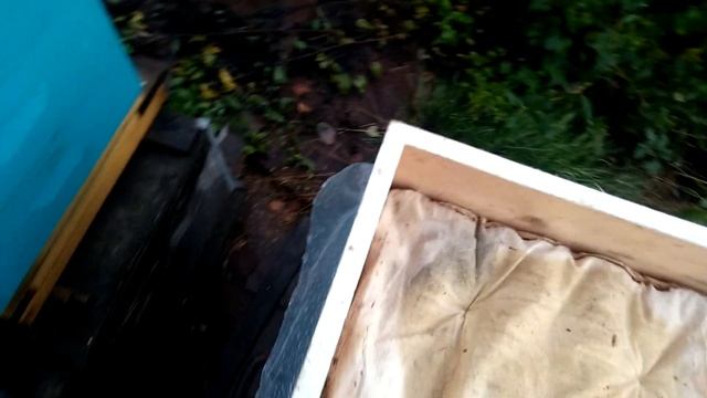 Сколько корма оставлять пчелам в зиму смотреть онлайн