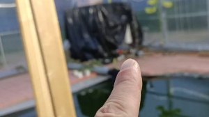 Фильтр для пруда тонкой очистки. 2 месяца засорялся пруд и я нашел причину. Разведение карпов кои.