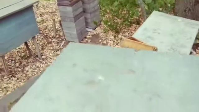 Альпийский улей подготовлен к зимовке. 04.09.2019 смотреть онлайн