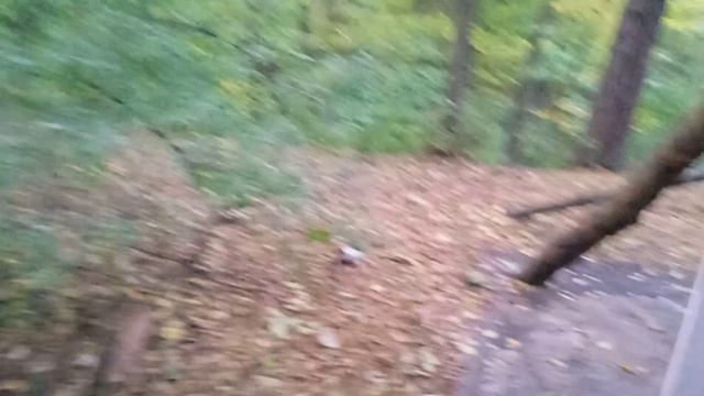 ГОСТ 2006 20231017