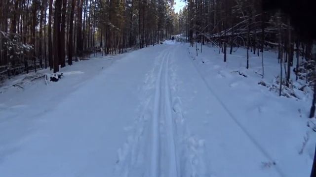 Покатушка на дешёвых лыжах Werter Berger classic смотреть онлайн