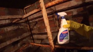 Как избавиться от плесени в подвале? Проверяем бюджетные средства от плесени