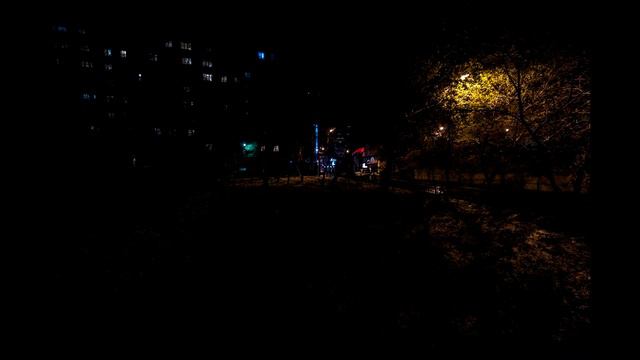 Птицы на Красном проспекте...