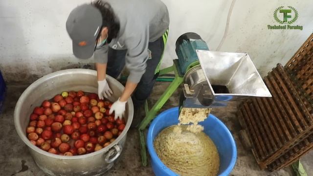 नेचुरल सेब, जूस और जैम वाला किसान ईमानदारी की मिसाल है || Technical Farming || смотреть онлайн