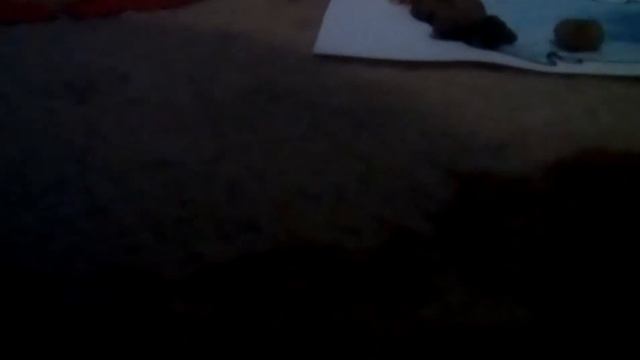 Как сделать подарки своим родным друзьям близким очень просто и легко новогодний DIY рыбка!! смотреть онлайн