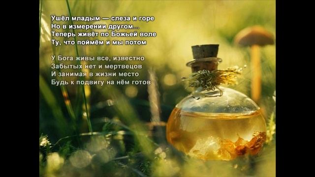 Стихи Черкашин Дмитрий - Лелей её и береги смотреть онлайн