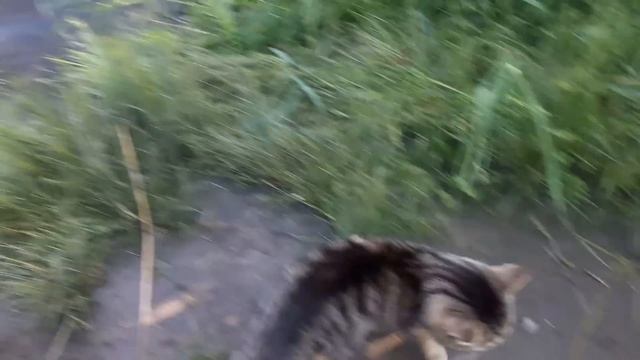 Славянск. 4 июня 2023г. С ПРАЗДНИКОМ СВЯТОЙ ТРОИЦЫ смотреть онлайн