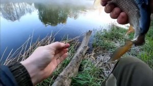 Рыбалка у дома на поплавок,с кормушкой на течении!Май 2023