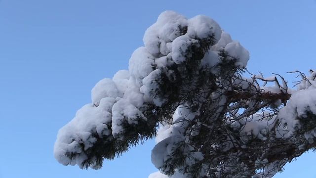 Testing out my Canon legria hf-g30 camcorder in winter. смотреть онлайн