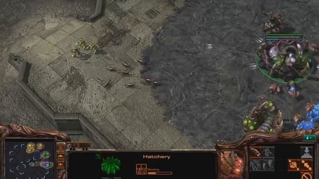 Starcraft 2 Lag/Stuttering смотреть онлайн