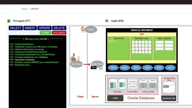 Como os comandos SELECT e UPDATE afetam os componentes da arquitetura oracle смотреть онлайн