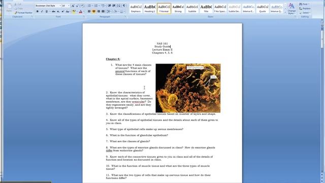 How to insert images into a word document. смотреть онлайн