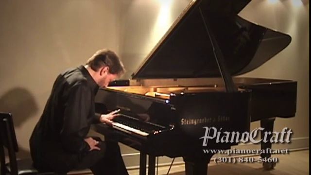Steingraeber D-232 Scriabin Nocturne for Left Hand, Op, 9, No. 2 смотреть онлайн