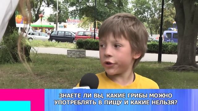НАШ ОПРОС: Знаете ли Вы, какие грибы можно употреблять в пищу и какие нельзя? смотреть онлайн