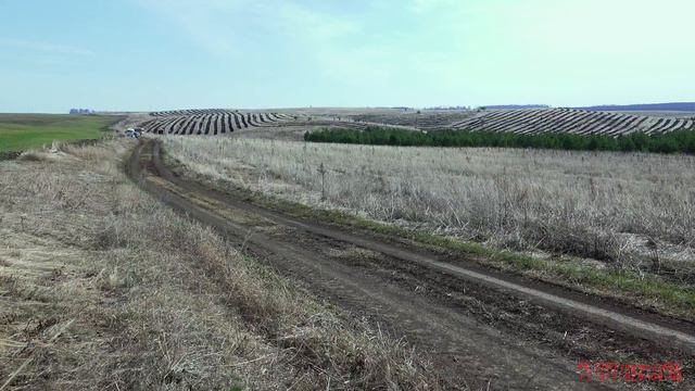Посадка леса Азнакаево 2017 4K UHD смотреть онлайн
