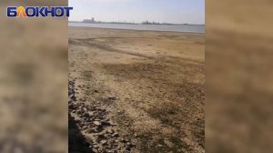 Чуть больше метра осталось до «мертвого уровня» Цимлянского водохранилища