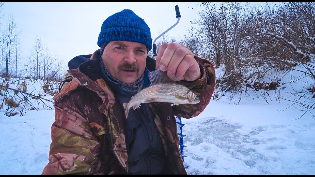 За хариусом на речку! Наловил всякой разной по немногу. смотреть онлайн