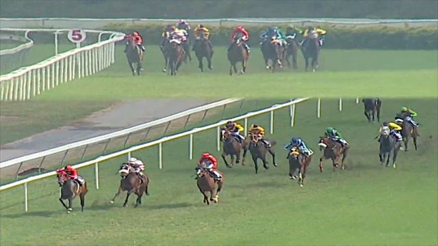 Apollo with Nathan Evans up wins The Tribute Plate Div-1 2019 смотреть онлайн