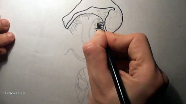 How to draw Spiderman Venom (Ehedov Elnur) Как рисовать Человека Паука и Веном смотреть онлайн